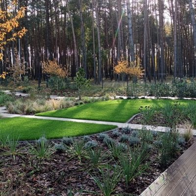 Swobodne nasadzenia roślin harmonizujące z leśnym klimatem koło Jarocina