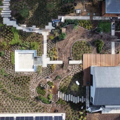 Płynne linie rabat z roślinami wieloletnimi w malowniczym ogrodzie