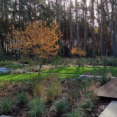 Naturalne rabaty kwiatowe w ogrodzie na tle lasu k. Jarocina