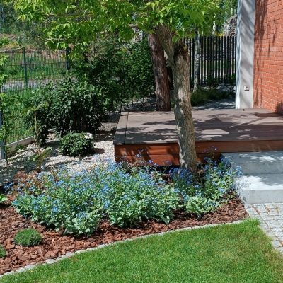 Ogród wokół starych sosen