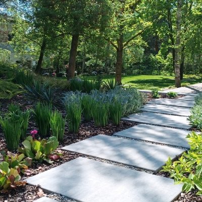 Ogród zaprojektowany pod starymi klonami-adaptacja istniejących drzew Avangard Ogrody Poznań