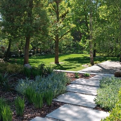 Słoneczna polana między drzewami w ogrodzie-adaptacja działki z drzewami Avangard Ogrody