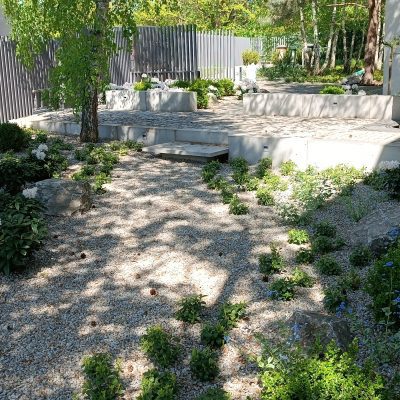 Rośliny cieniste pod koronami drzew-projektowanie ogrodów z drzewami-Avangard Ogrody