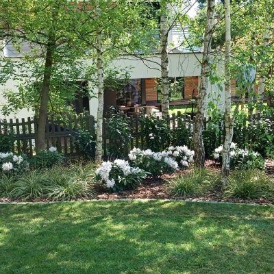 Alejki ogrodowe między istniejącymi drzewami -projektowanie z szacunkiem dla przyrody Avangard