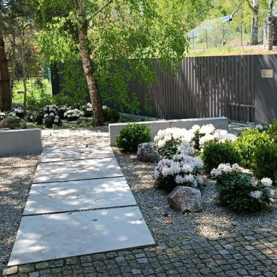 Ogród zaprojektowany pod starymi dębami-adaptacja istniejących drzew Avangard Ogrody Poznań