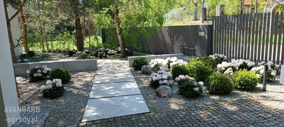 Ogród zaprojektowany pod starymi dębami-adaptacja istniejących drzew Avangard Ogrody Poznań